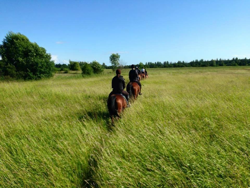 Sassi Talu Horsefarm Hotel Pärnumaa Exterior photo