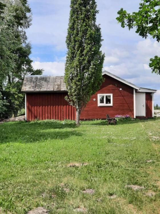 Sassi Talu Horsefarm Hotel Pärnumaa Exterior photo